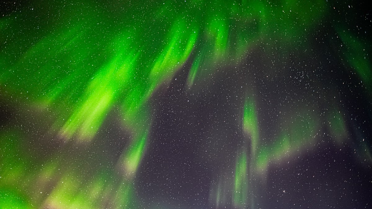 Chasing aurora at the Elk Island National Park.